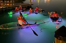 Comb Jelly Bioluminescence Clear Kayak Glow Tour