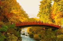 Nikko Tour by Private Car and English Speaking Driver