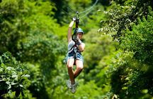 Zipline Adventure In The Rainforest