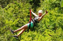 Zipline Adventure In The Rainforest