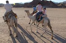  Luxor private City Tour west bank Camel Ride & Felucca sailboat 