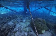 Historic Carysfort Lighthouse Snorkeling Tour