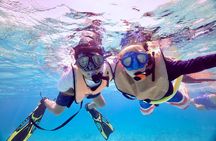 Historic Carysfort Lighthouse Snorkeling Tour