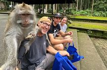 Goa Gajah / Elephant Cave Temple And Ubud Tour - All Inclusive
