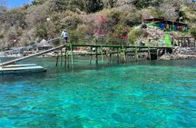 Private Snorkeling Experience in the Coral Islands in Guayabitos
