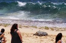 Dole,Garlic Shrimp, Northshore Customizable Group Priced Tour 