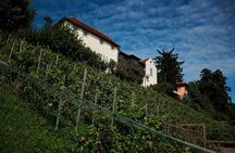 Wine and Heritage Walking Tour in Zagreb
