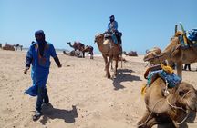 1 Hour Quad and 1 Hour Dromadery Riding in Essaouira
