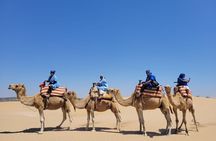 1 Hour Quad and 1 Hour Dromadery Riding in Essaouira