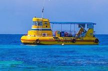 Roatan Zip Line, Wildlife, & Glass Bottom Boat Tour Combo