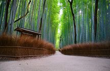 Kyoto Arashiyama: Fall Foliage Walking Tour【Autumn's limited】