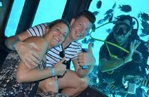 Underwater Adventures Through Semi-Submarine Trip - Marsa Alam