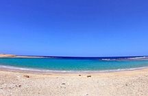 Dolphin Swimming Experience at Redsea with Lunch – Marsa Alam