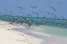 Hamata & Qulaan Islands Snorkeling Trip with Lunch - Marsa Alam