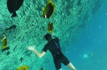 Hamata & Qulaan Islands Snorkeling Trip & Transfer - Marsa alam