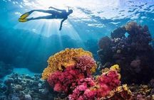 Hamata & Qulaan Islands Snorkeling Trip & Transfer - Marsa alam