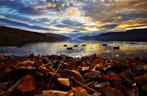 INVERGORDON Highland Shore Excursion for up to 14 pax (Private)