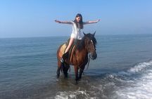 1 Hour Horse Riding in Antalya