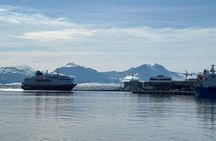 Journey Through the City and Visit the Polar Museum with Guide