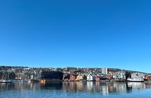 Journey Through the City and Visit the Polar Museum with Guide