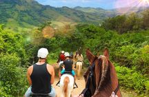 Dominican Roots: Unforgettable Cultural Adventure in Punta Cana
