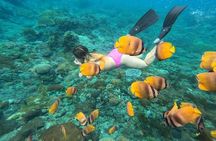 Nusa Lembongan Snorkeling with Manta Bay & Island Tour from Bali