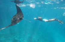 Nusa Lembongan Snorkeling with Manta Bay & Island Tour from Bali
