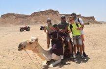 Buggy Car Safari Tour & Camel Ride With Transfer :Marsa Alam