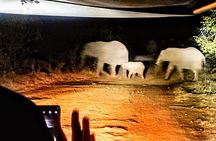 4x4 Bush Drive at Night with guided Stargazing