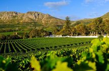 Private Tour of Constantia Wine & Kirstenbosch Gardens Experience