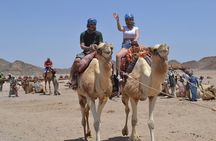Super Safari, Quad ATV, Camel Ride, Dinner & Show–Sharm El Sheikh