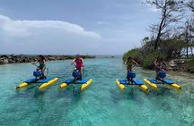 Eco Friendly Hydrobike Tour With Private Island Beach Break