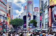 Private All Inclusive "Neo Tokyo Tour" on a Luxury Car