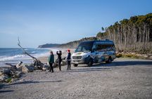 Queenstown to Franz Josef via Wanaka Small Group Day Tour (1-Way)