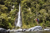 Queenstown to Franz Josef via Wanaka Small Group Day Tour (1-Way)