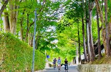 Pedal Adventure Kyoto's iconic landmarks on an e-bike tour