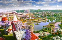 Miracle Garden and Butterfly Garden Dubai Combo Tour