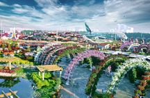 Miracle Garden and Butterfly Garden Dubai Combo Tour