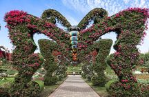 Miracle Garden and Butterfly Garden Dubai Combo Tour