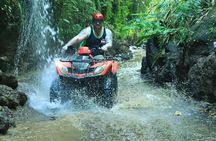 Bali ATV Quad Bike Ubud Swing & Monkey Forest All Inclusive
