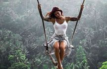 Bali ATV Quad Bike Ubud Swing & Monkey Forest All Inclusive