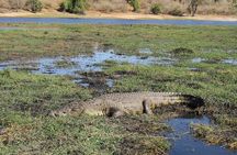 Full Day Safari Experience Chobe National Park in Botswana