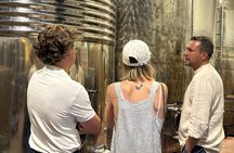 Santorini Mini Wine Tasting Tour at 2 Wineries