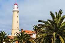 Punta del Este Private Tour for Cruise Passengers