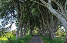 Belfast & Giants Causeway Luxury Mercedes Private Tour for 6 pax