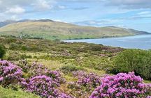 Belfast & Giants Causeway Luxury Mercedes Private Tour for 6 pax