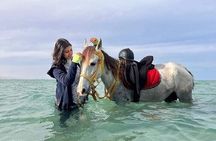 Swimming by Horse 3 Hours ,Beach, Desert, transfer - Hurghada