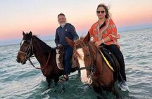 Swimming by Horse 3 Hours ,Beach, Desert, transfer - Hurghada