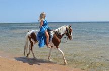 Swimming by Horse 3 Hours ,Beach, Desert, transfer - Hurghada