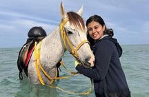 Swimming by Horse 3 Hours ,Beach, Desert, transfer - Hurghada